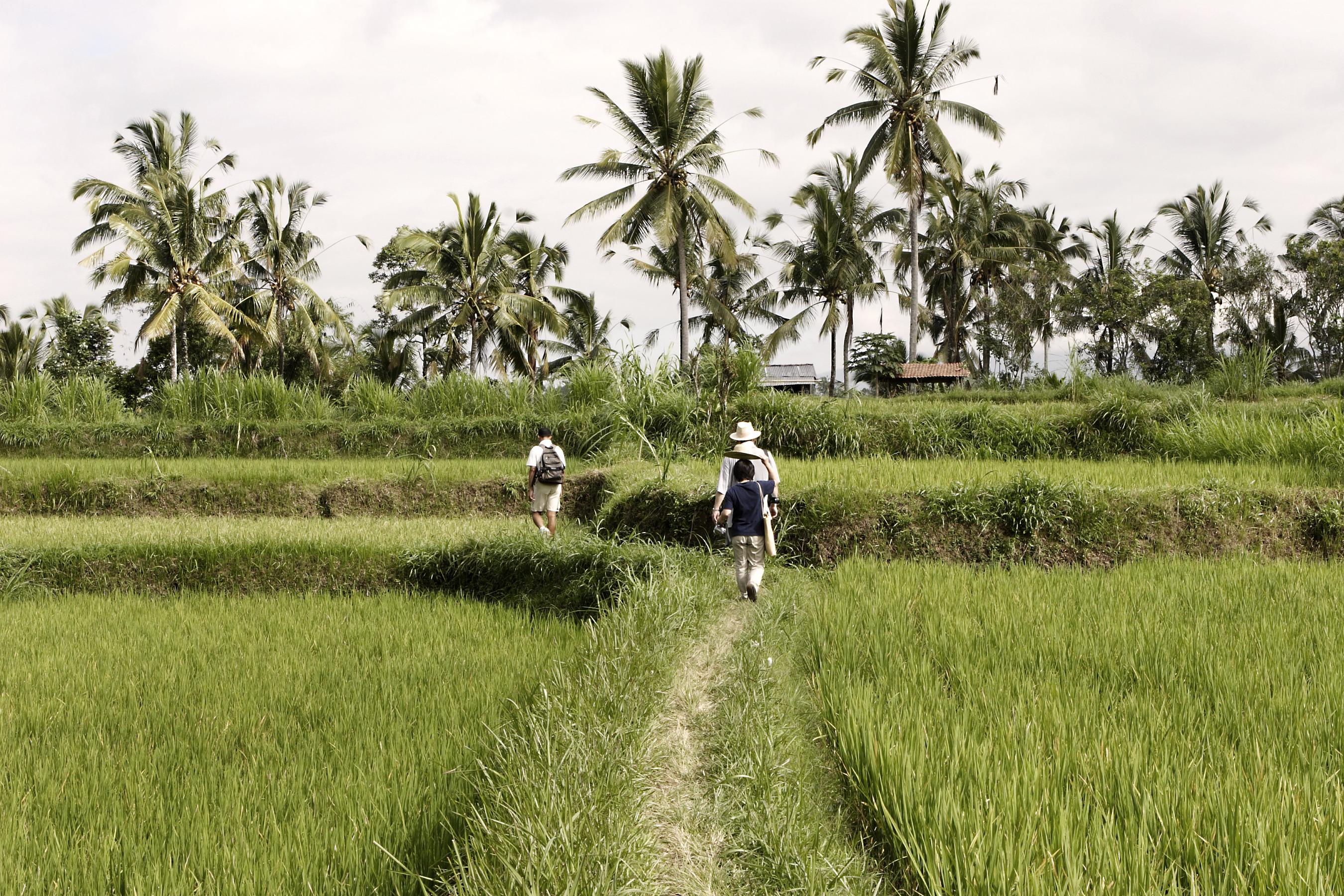 Hanging Gardens Of Bali أوبود المظهر الخارجي الصورة
